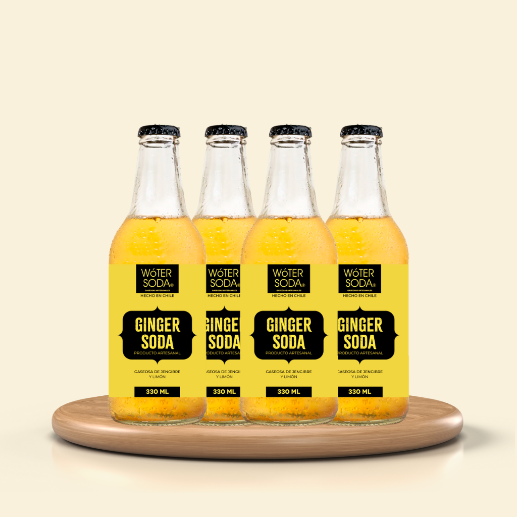 4 Pack Ginger Soda