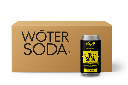 Wöter Soda Ginger Sin Azúcar
