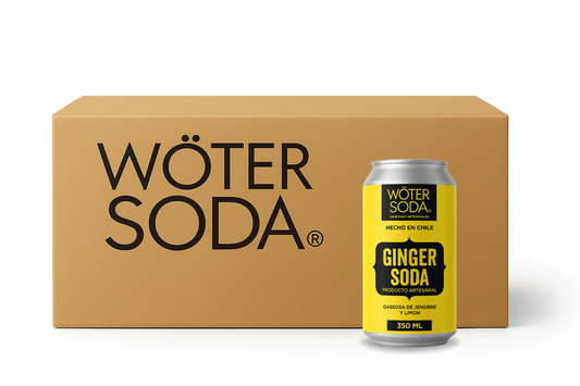 Wöter Soda Ginger